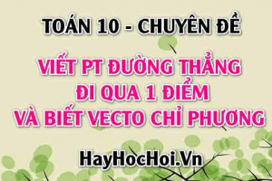 Cách viết phương trình đường thẳng đi qua 1 điểm có vectơ chỉ phương u - Toán 10 chuyên đề